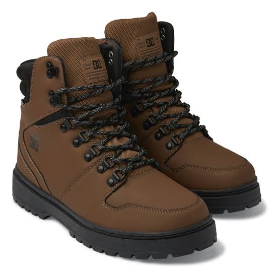 DC Men's Peary TR Boot
